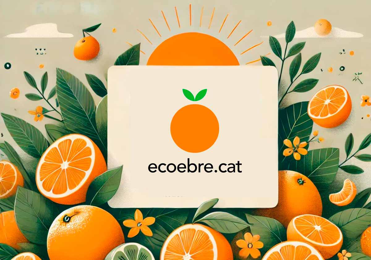 newsletter-ecoebre