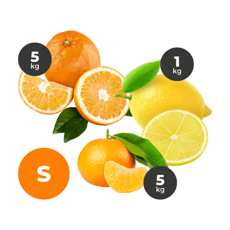 cistella-11kg-eco-5kg-mandarines-5kg-taronges-1kg-llimones-800x800